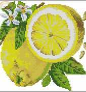 Susanna Lemons