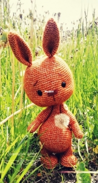 my little bunny