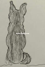 My little dog...in a draw