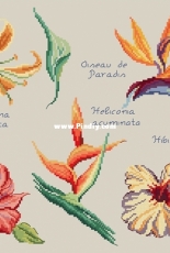 Fleurs de paradis from the magazine