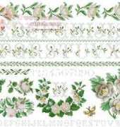 DMC XC1067 White Roses Sampler PCS