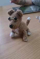 Dog - American stanford