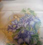 clematis fairy