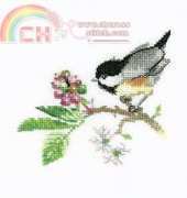 Heritage Stitchcraft - Valerie Pfeiffer Solos VPCB568 Chick Berry XSD