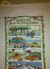 Natures finalizado