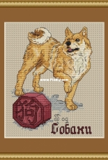 Year of The Dog by Nadezhda Mashtakova