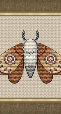 Hakaba Design - Moth by Maria Danilova