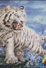 HAED HAEKAH 127 White Tiger And The Waves by Kayomi Harai