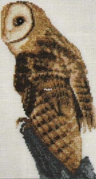 Tasmanian Masked Owl by Jill Oxton from Jill Oxtons Cross Stich 37 PCS