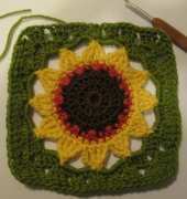 Nandina  - sunflower square