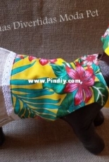 Pet na Moda