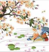 Birds and sakura