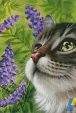 HAED - HAEIAG 2606 Purple Vetch by Irina Garmashova