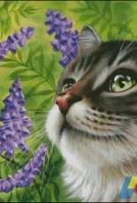 HAED - HAEIAG 2606 Purple Vetch by Irina Garmashova