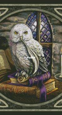 HAED HAELIP1900 New Owl by Lisa Parker