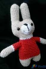 Fans soccer rabbits