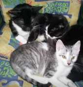 three in one chair