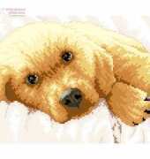 Dimensions 65038 Golden Puppy PCS