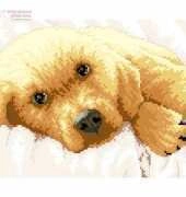 Dimensions 65038 Golden Puppy PCS