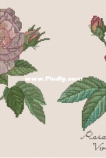 The Lilac Studio 26 - Rose Duet I PCS