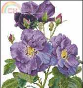 Thea Gouverneur TG413 Rhapsody in Blue