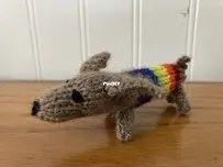 Dachshund