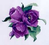 The Silver Lining SL 108 - Purple Tulips