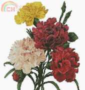 Free Cross Stitch Online - Flowers