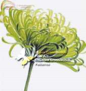 I Love CrossStitch APJ-003 - Green Chrysanthemun