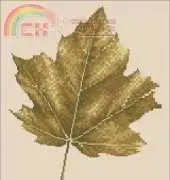 Heritage Stitchcraft SNNM749 Shades of Nature - Norway Maple by John Clayton