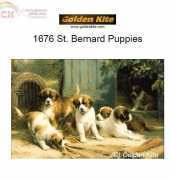 Golden Kite GK 1676 - St. Bernard Puppies