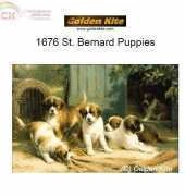 Golden Kite GK 1676 - St. Bernard Puppies