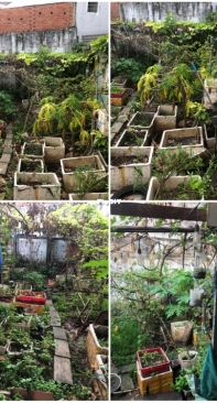 How did I build a garden all by myself - 1