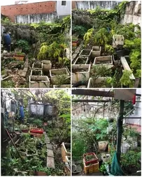 How did I build a garden all by myself - 1