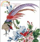 Pinn LE-57H The Plumage Pheasant xsd