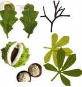 Leaves Collection by ODDknit-Free