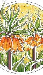 Fritillaria by Alisa Okneas xsd