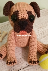 Little Green Bear - Perry the Pug