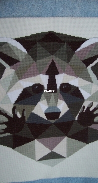 Raccoon from Cross Stitch World UA