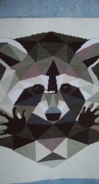 Raccoon from Cross Stitch World UA