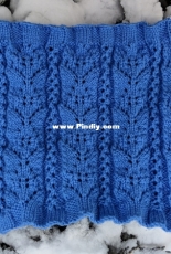 Stellers Jay Cowl by Vikki Perkins-Free
