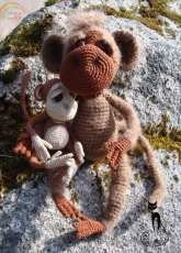 Monkeys family