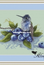 Alveigs Stitch - Hummingbird by Ekaterina Ramaykina
