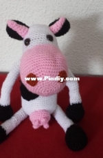 Estrella the cow