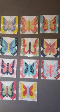 Madame Butterfly