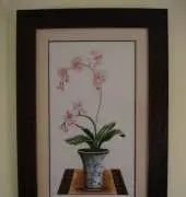 Artime. Orquideas