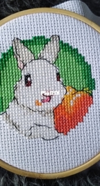 Rabbit Pepper