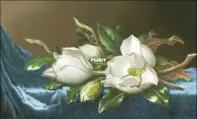 Este 066 - Magnolias On Blue Velvet -Free XSD