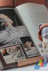 Mouse - Teddy world Seals