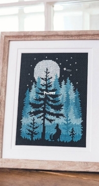 Pigeon Coop Designs - Upon A Star from Cross-Stitch in the Forest PCS + XSD